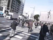 时间停止 欲求不满的巨乳上司