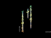 [ADN-529] 和安慰失恋的我的姐姐沉溺在夏天恋爱中的几天 森日向子【破解】 - 1of5