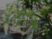 [DASS-423] お母さんに毎日好き好きオーラを浴びせた一ヶ月後、理性が外れたお母さんと子作りセックスを何度も何度も繰り返した。 妃ひかり - 1of5