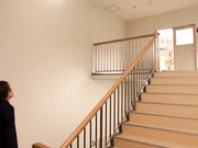 [PGD-440] 同級生 桜木凛【破解】 - 1of5