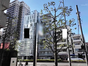 [SDNM-480] 人を喜ばせるのが好き 家庭に人生の大半を捧げてきたおっとりママ 野上しおり 36歳 最終章 - 1of5