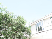 [GREDB-1064] 恋のスキャンダル 双葉みれい - 1of5