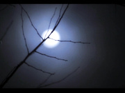 [MIDV-741] 因为变态社长的M女调教而疯狂…巨乳凌辱NTR 一心绘里香【破解】 - 1of5