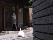 [SNIS-513] 隣人に狙われた人妻 主人の寝ている横でヨガリ狂う 早乙女美々【破解】 - 1of5