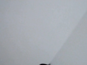 最新流出廁拍大神潛入公共衛生間拍攝到的各式美女少婦如廁 有兩位細長腿的妹子顏值超高 1080P高清原版