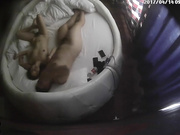 主題酒店圓床房拍攝到的天剛亮猥瑣小胖哥和女友就獸性大發開始插入晨練 幹得有點猛啊 露臉高清