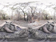 Sorority sisters take their friendship to the next step!