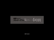 [BF-254] 誘惑ドキュメント スチュワーデスの女たち…4時間  波多野結衣 一色まりな 遥めぐみ 山本美和子