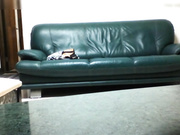 大叔趁老婆不在家约炮年轻美眉洗完澡在家里客厅的沙发上啪啪听对白妹子以前来过