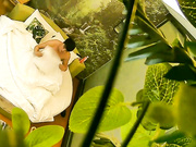 精品推荐小旅馆绿叶房偷拍小伙泡风骚少妇，上位骑着啪啪响两个奶子还挺坚挺的