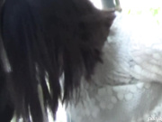 外站最新流出题材类作品长镜头拍公共场合内急的美眉们找个隐蔽处就开始放尿尿量都很足720P高清