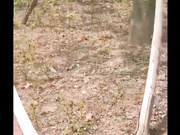 露出系网红@风筝断了线 老人前的露出作品和集