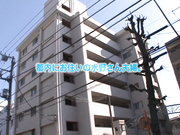 [MIGD-708] 拘束男人手脚，强制射精到怀孕为止 水野朝陽【破解】 - 1of5