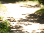 [CJOD-295] 来到乡下的她无胸罩中出 JULIA【破解】 - 1of5