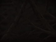 (無修正) Septem Charm まじかるカナン Vol.4 「カーマインより愛をこめて」