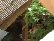 [SPRD-685] たびじ 大阪のおかん 志村玲子【破解】 - 1of5